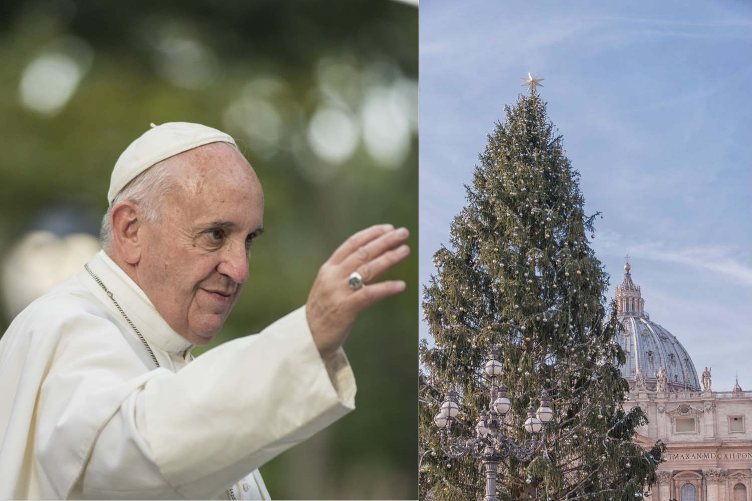 papa albero natale