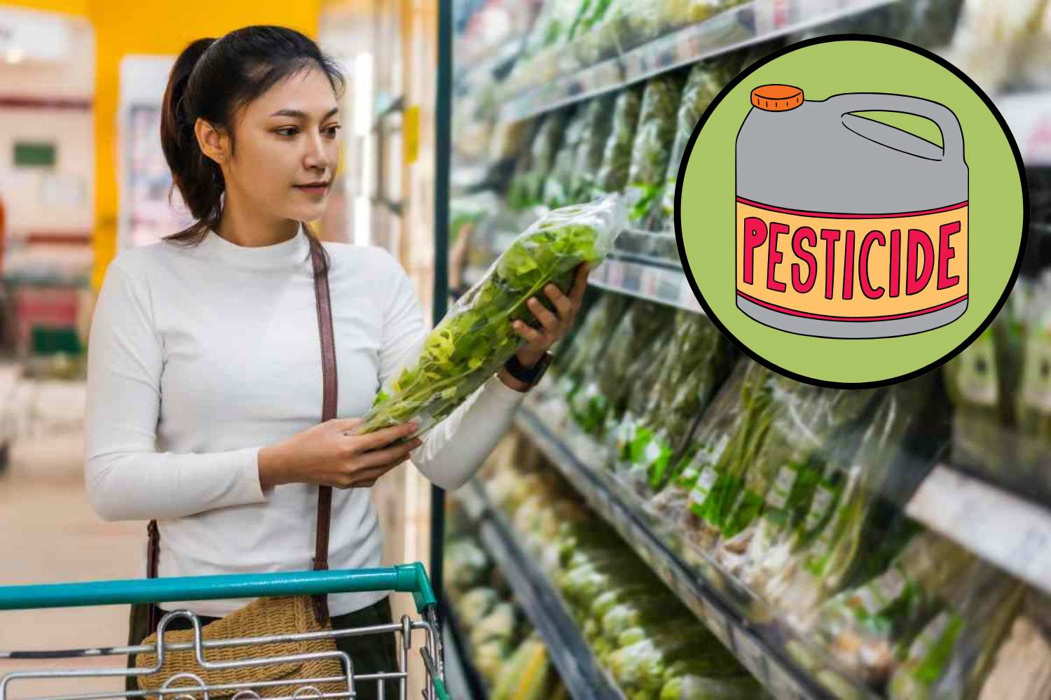 pesticidi insalata in busta