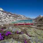 trenino del bernina