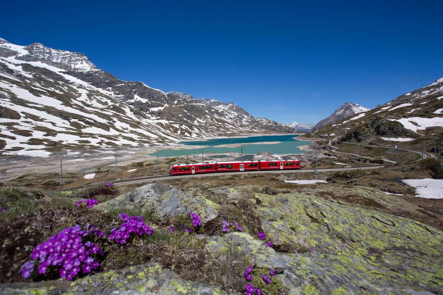 trenino del bernina